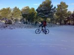 14022010204-1.jpg