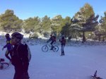14022010213-1.jpg