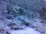 14022010206-1.jpg