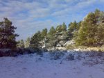14022010205-1.jpg