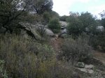 circuito 2010 015..jpg