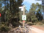 castellar 007..jpg