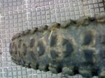 25022010566 (Large.jpg