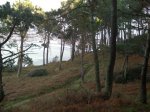 Sendero Montefer.jpg