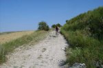 S3600050.JPG