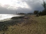 arinaga_net_2010_0.jpg