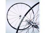 17626_1_shimano_w
.jpg