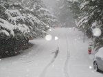 DSC00533.jpg