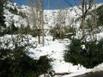 Nevada BCN - Colls.jpg