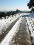 Nevada BCN - Colls.jpg