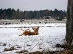 IMG_2318..jpg