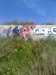 Imagen0237..jpg