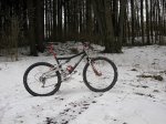 IMG_2331..jpg