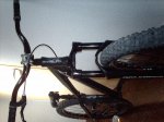 IMAG0487..jpg