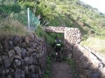 VIAJE TENERIFE 1 DE&.jpg