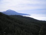 VIAJE TENERIFE 1 DE&.jpg