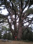 VIAJE TENERIFE 1 DE&.jpg