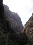 VIAJE TENERIFE 1 DE&.jpg