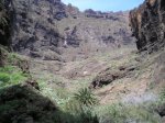 VIAJE TENERIFE 1 DE&.jpg