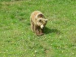 Senda del Oso 22-.jpg