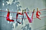 fotos-curiosas-g.jpg