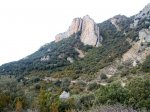 18032010022 (Small.jpg