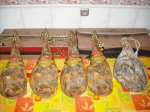 kkd2010 002..jpg