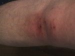 Fotos-0031..jpg