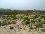 06042010304..jpg