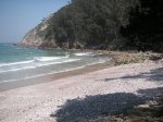 PICT0131..jpg