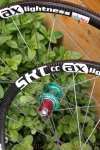 IMG_3127 [kibikes].jpg