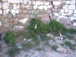 castillo st. miqu.jpg