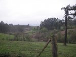 PICT0033.jpg