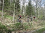 IMG_2775.jpg