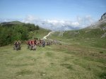 IMG_2687.jpg