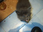 PIC_0125.jpg