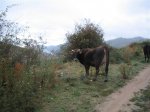 IMG_8342.JPG