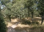 DSCN3239.JPG