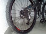 DSC00894.JPG