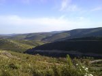DSC01641.jpg