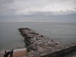 PICT0043.jpg