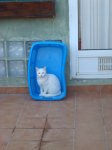 fotossony 058.JPG