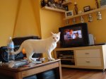 fotossony 034.jpg
