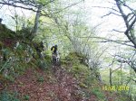 100_2208.jpg