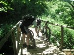 PICT0038.jpg