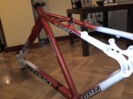 CUADRO BICI 2.jpg
