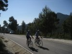 IMG_0355.jpg