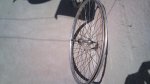 DSC00006.jpg