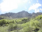 P5291545.jpg