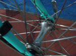 DSC00170.JPG